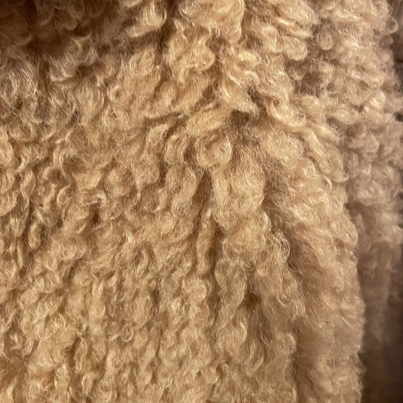 New without tags , Lauren Conrad Teddy Bear Coat - Picture 4 of 4